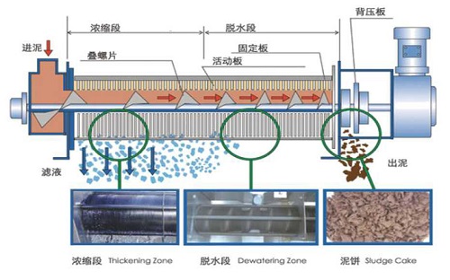 Sludge Dewatering Unit Working Principle